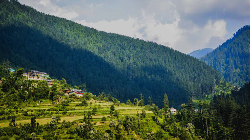 Camping in Tirthan Valley, Himachal Pradesh Gallery