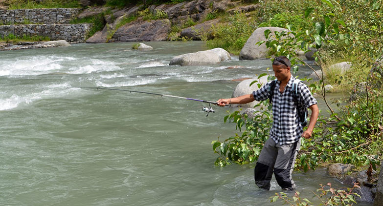 Fishing in Parvati River, Kasol  Gallery